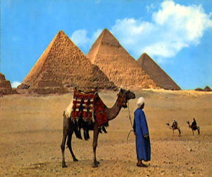 Egyptian Post Cards