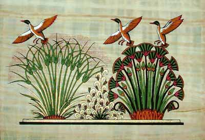 Egyptian Papyrus Paintings - Flying Duck Papyrus