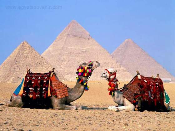 Egypt Pyramids - Sphinx