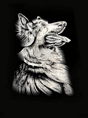 The Dog Painting, Hand Painted on Black Velvet Fabric