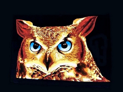 Owl Black Velvet Painting, Hand Painted on Black Velvet Fabric