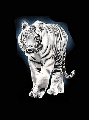 Tiger Black Velvet Painting