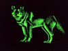 Wolf Black Velvet Painting