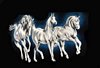 Arabian Horses Black Velvet Painting