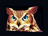 Owl Black Velvet Painting, Hand Painted on Black Velvet Fabric