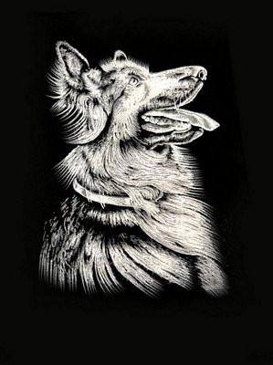 The Dog Painting, Hand Painted on Black Velvet Fabric The Dog Painting, Hand Painted on Black Velvet Fabric