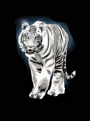 Tiger Black Velvet Painting Tiger Black Velvet Painting