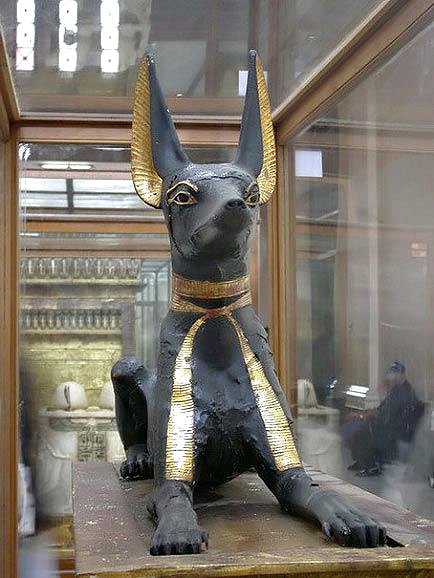 Anubis